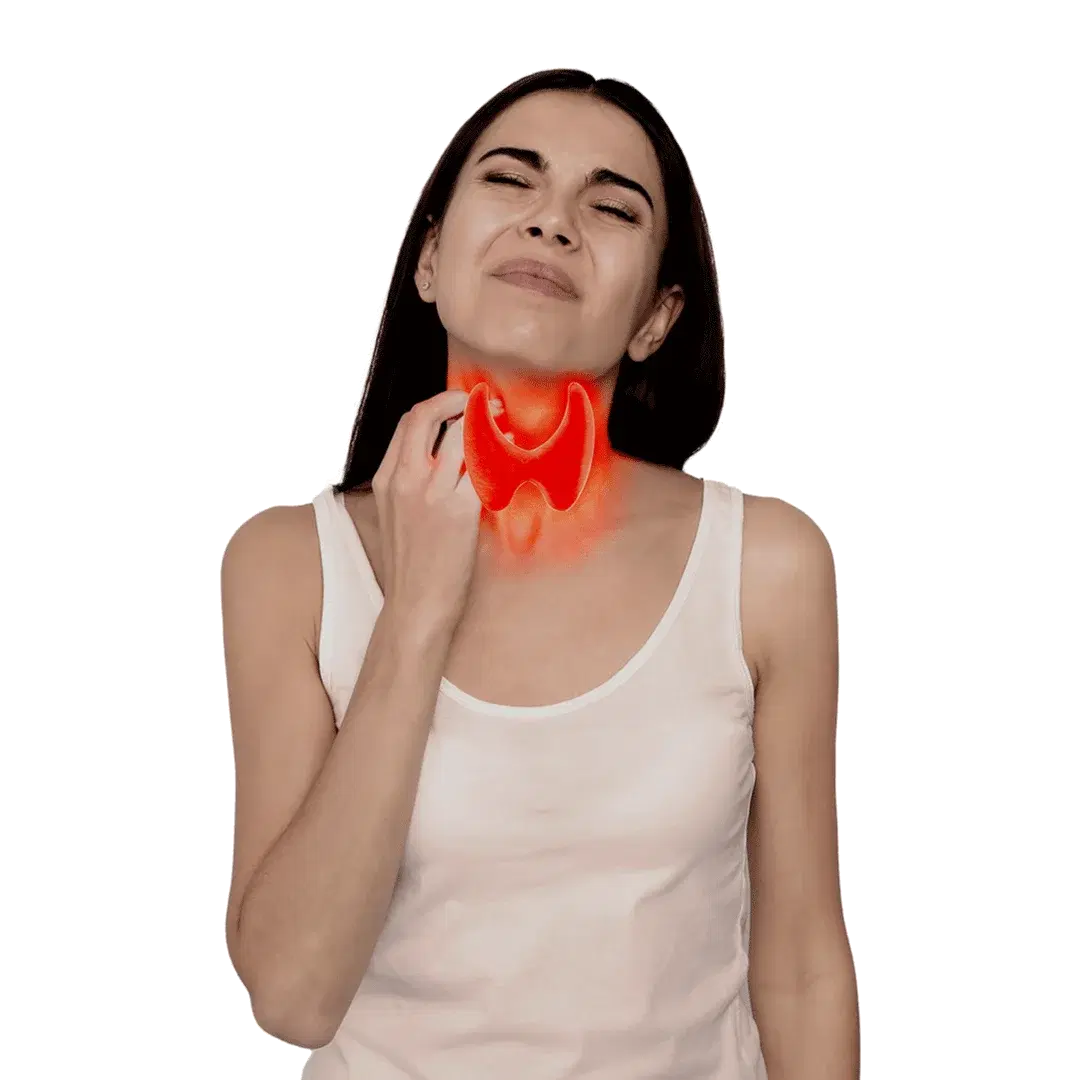 Thyroid Profile