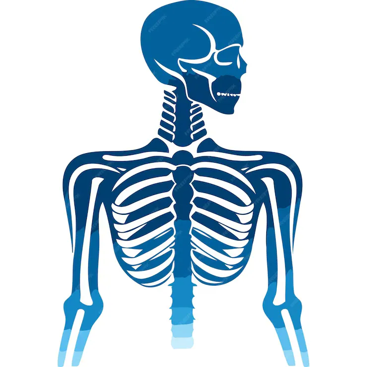 Reasons for Taking an X-Ray